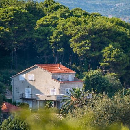 Apartments & Rooms Tapera Dubrovnik Bagian luar foto